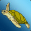 AquaTurtle