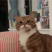 我从不是你的选择