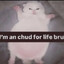 toomuchnoblebloodspilled