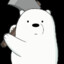 Ice Bear