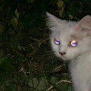 只是又一个人看海