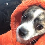 臣妾要告发熹贵妃私通