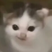 мяу avatar