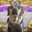 Tinypuggle