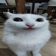 Cy