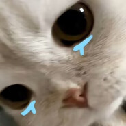 你让让我怎么了