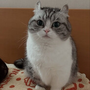 ёкарный насвай