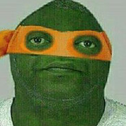 MICHAELANGELO THE TURTLE