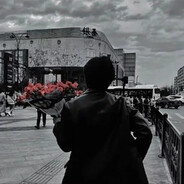 白茶清欢无别事