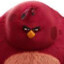 da biggest bird