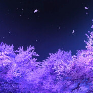 -TSF- avatar