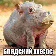 govnovozik - steam id 76561199305108487