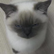 性格如此不是狂