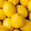 TimidLemon