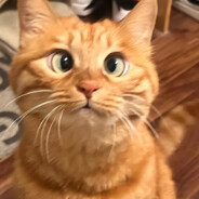 也是混上了好吧