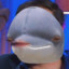 disappointed dolphin