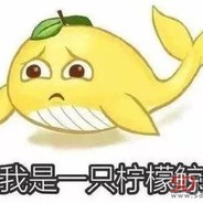 柠檬树上拧檬果