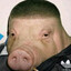 Boris Pork