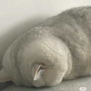 炸裂的包子与维生素