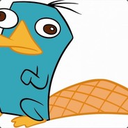 THE PLATYPUS