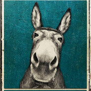 SwampDonkey00