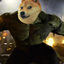 🐕The Incredible Hulk Doge🐕