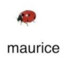 Maurice