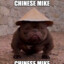 Chinese Mike