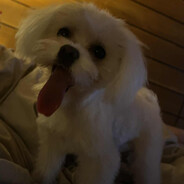 Kamilekzde skins.army