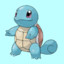 中原水箭龟