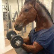 cavalo - steam id 76561198151035800