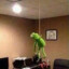 Kermit_Lover_69