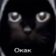 кот обормот