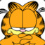 garfield 2.0