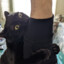 ACat