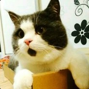 麦叔的螺旋丁丁