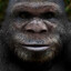 bigfoot