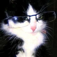 这花本来是给她的