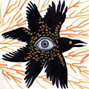 BIRDBOY