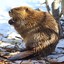 beaver_time