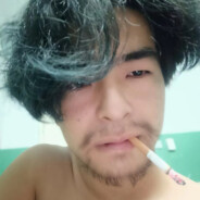 ---中上等马分割线---