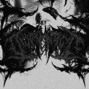 Insanzr