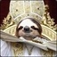 Sloth John Paul II