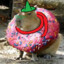 Squeege