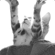 个脑搭的士走左