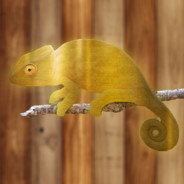 Solid Gold Chameleon