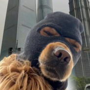 超级无敌暴龙战士