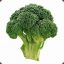 BroccoliLord