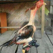 Bolsonaro Cruzeirense
