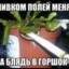 LOPU